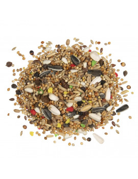 Witte Molen Country Premium Seed Mix for Parrots (550g) $10.16