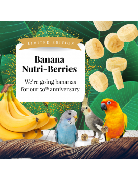 Lafeber LIMITED EDITION Banana Nutri-Berries for Small Birds 7oz $19.20