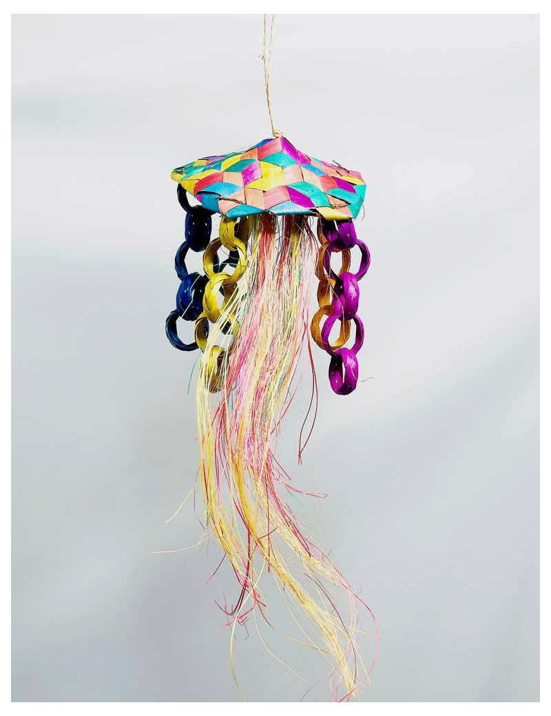 Palm Jellyfish Bird Toy $14.11