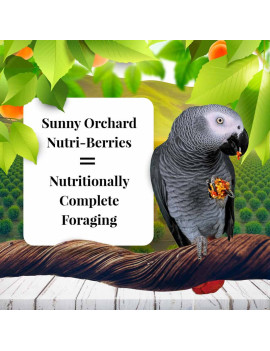 Lafeber Sunny Orchard Nutri-Berries for Parrots (10oz) $16.94