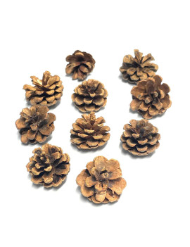 Natural Pine Cone (Pack of 10) $2.25
