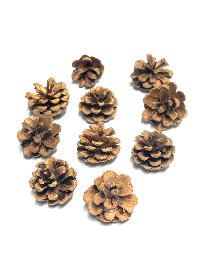 Natural Pine Cone (Pack of 10) $2.25