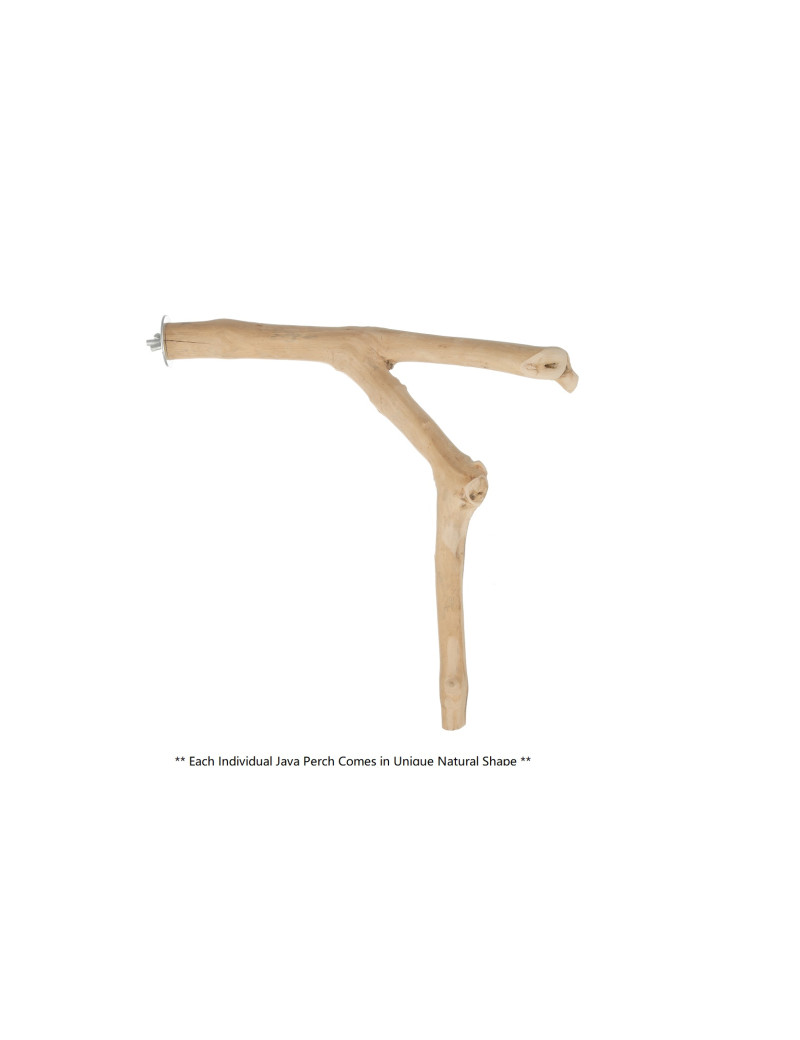 Java Wood Multi-Branch Perch (Medium) $22.59