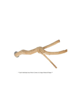 Java Wood Multi-Branch Perch (Small) $19.20