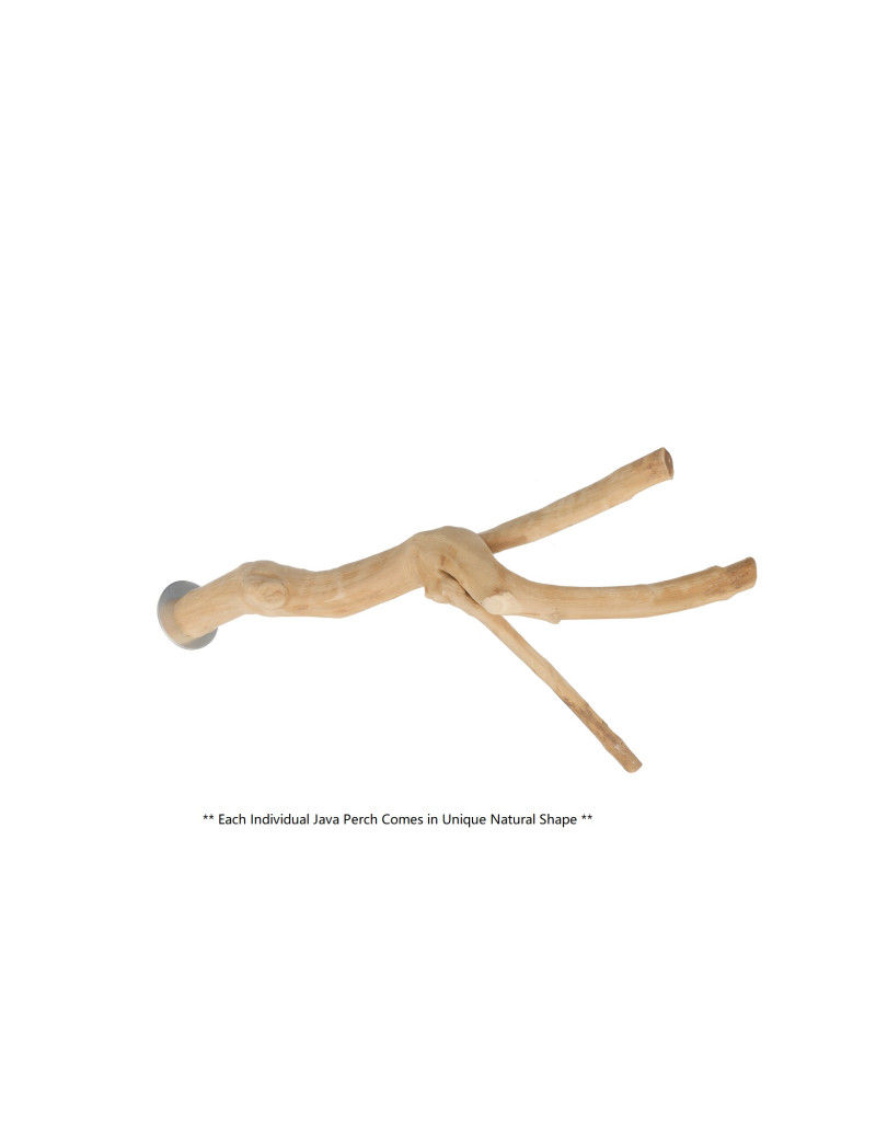 Java Wood Multi-Branch Perch (Small) $19.20
