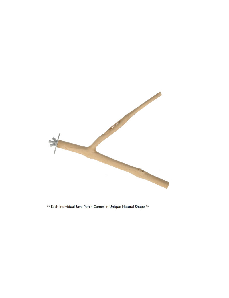 Java Wood Multi-Branch Perch (XS) $15.81