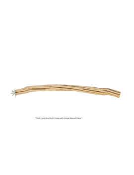 Liana Vine Perch (Large) $11.29