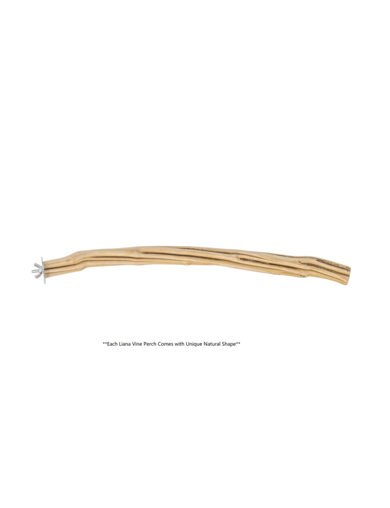Liana Vine Perch (Large) $11.29