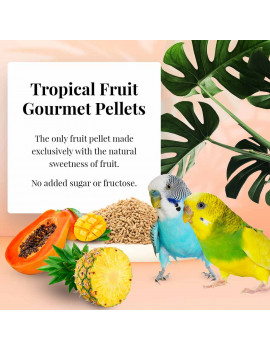 Lafeber's Parakeet Tropical Fruit Gourmet Pellets (4 lb) $38.97