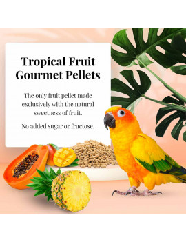Lafeber's Conure Tropical Fruit Gourmet Pellets (4 lb) $38.97