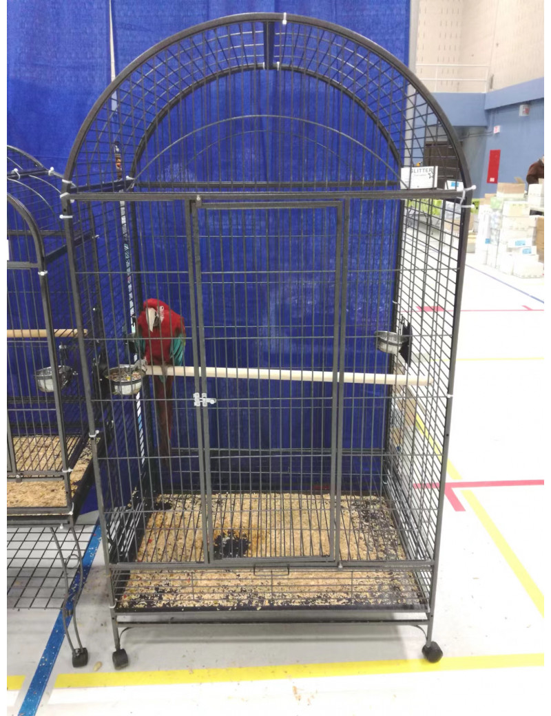 40X30" Extra Large Parrot Bird Cage for Sale Petsfella