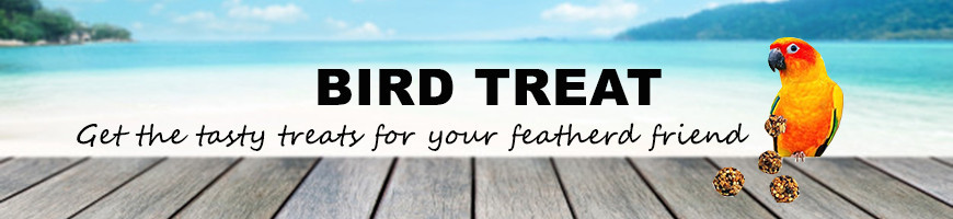 Bird Treats – Healthy, Tasty Snacks for Your Pet Birds | Petsfella