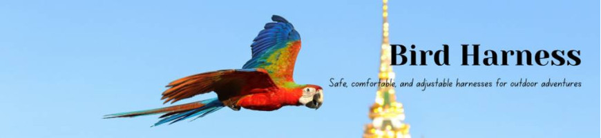 Bird Harness – Enhance Bird's Outdoor Activities | Petsfella.com