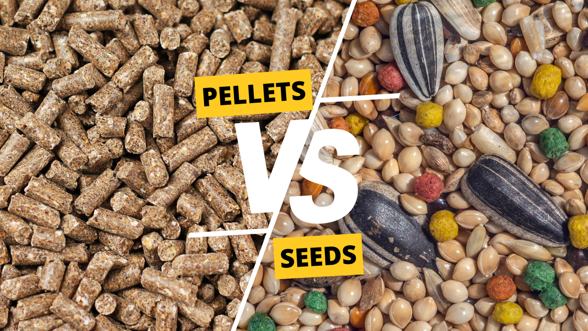 pellets vs bird seeds