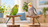 Budgie and cockatiel on separate natural wood perches in a bright home, illustrating parrot choices for first-time owners