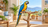 Blue-and-yellow macaw on a natural stand beside foraging and wooden toys