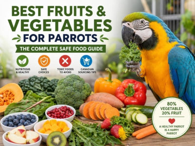 Best Fruits and Vegetables for Parrots: The Complete Safe Food Guide