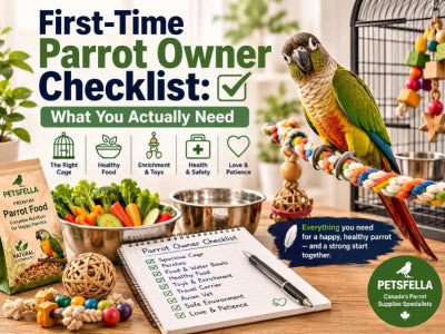 First-Time Parrot Owner Checklist: What You Actually Need