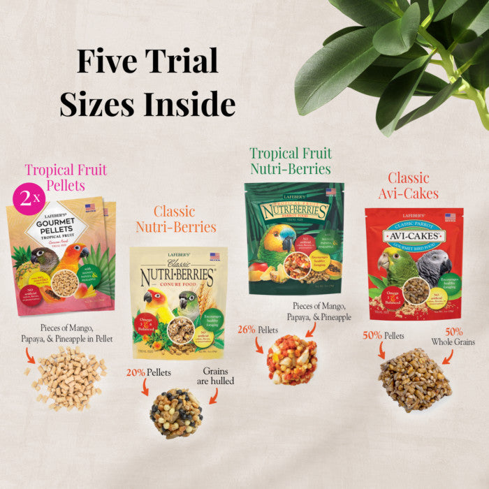 Lafeber Foraging Fun Packs For Conure (5oz) $15.81