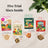Lafeber Foraging Fun Packs For Conure (5oz) $15.81