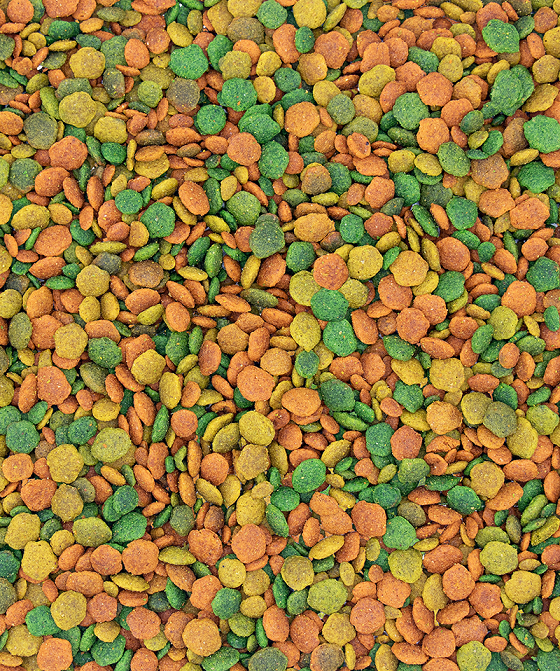 NutriBird B14 Tropical Maintenance Food For Large Parakeets (1kg) $18.07