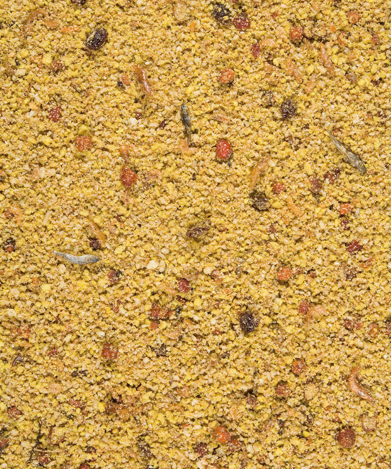 Orlux Gold Patee Big Parakeets & Parrots (1kg) $22.59