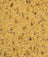Orlux Gold Patee Big Parakeets & Parrots (1kg) $22.59