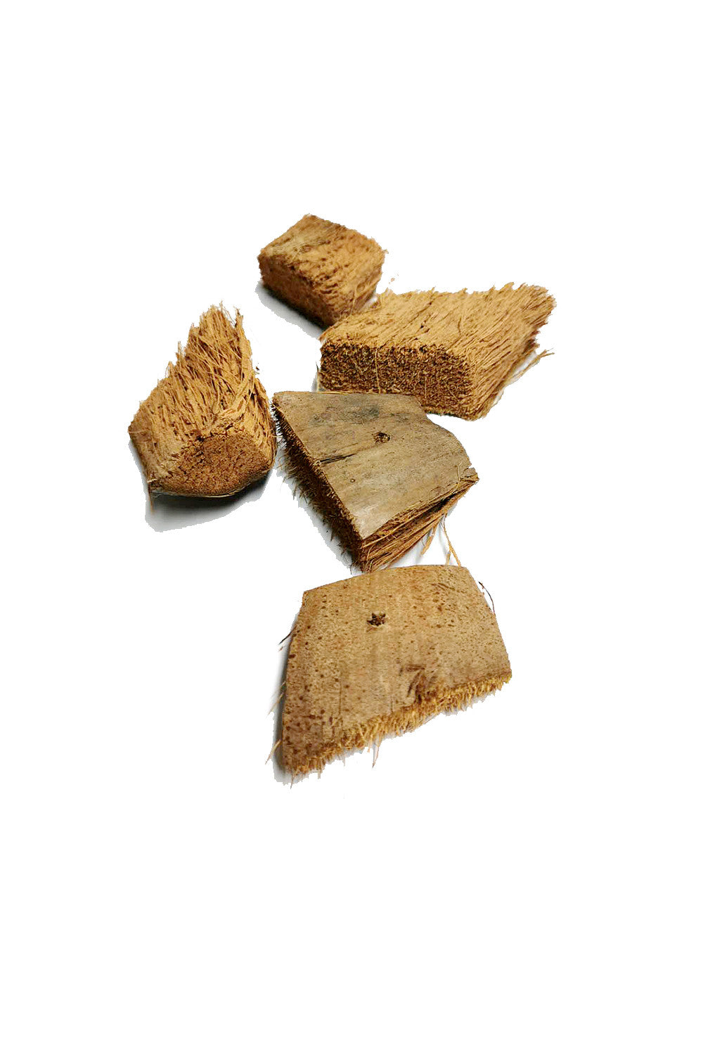 Natural Coconut Husk Pieces Parrot Toy with Hole (Pack of 5) $2.25
