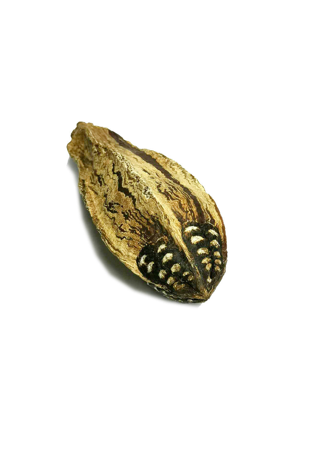 Mahogany Pods Bird Toy Part $0.67