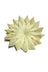 Large Palm Leaf Flower Parrot Toy Part 10cm $2.25