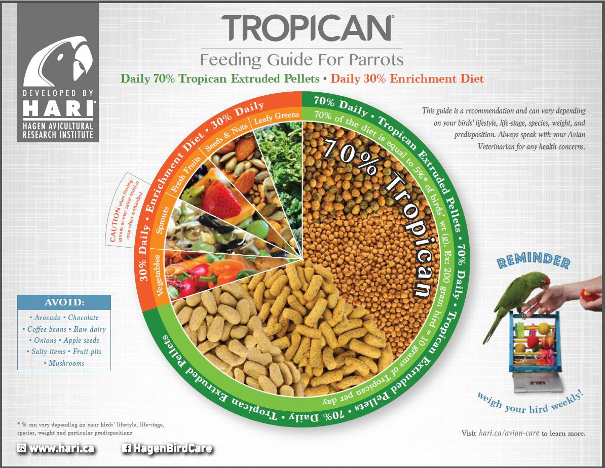 Hagen Tropican Lifetime Formula Granules for Parrots (4 lb) $22.59
