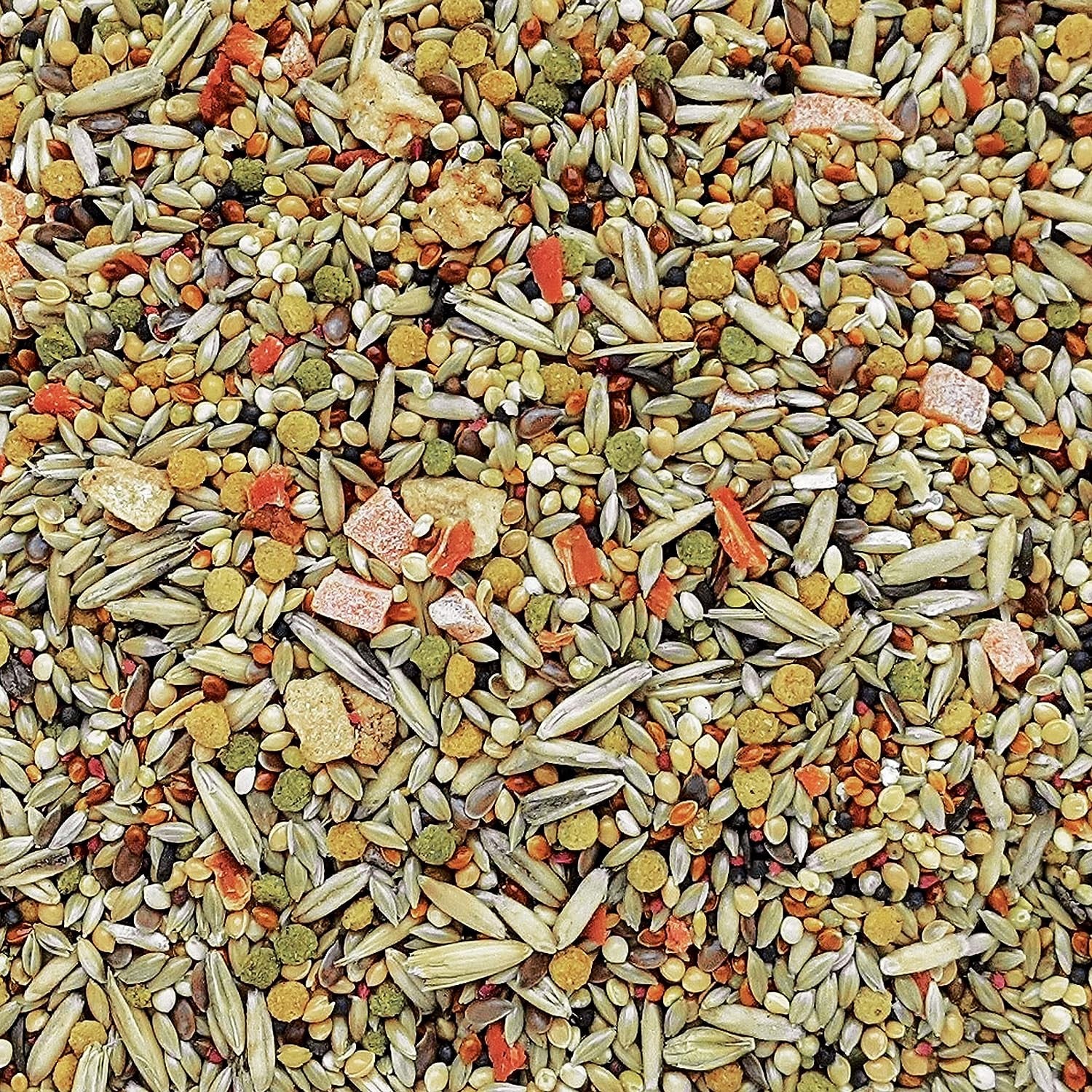 HARI Gourmet Premium Seed Mix for Budgies - 1 kg (2.2 lbs) $14.68