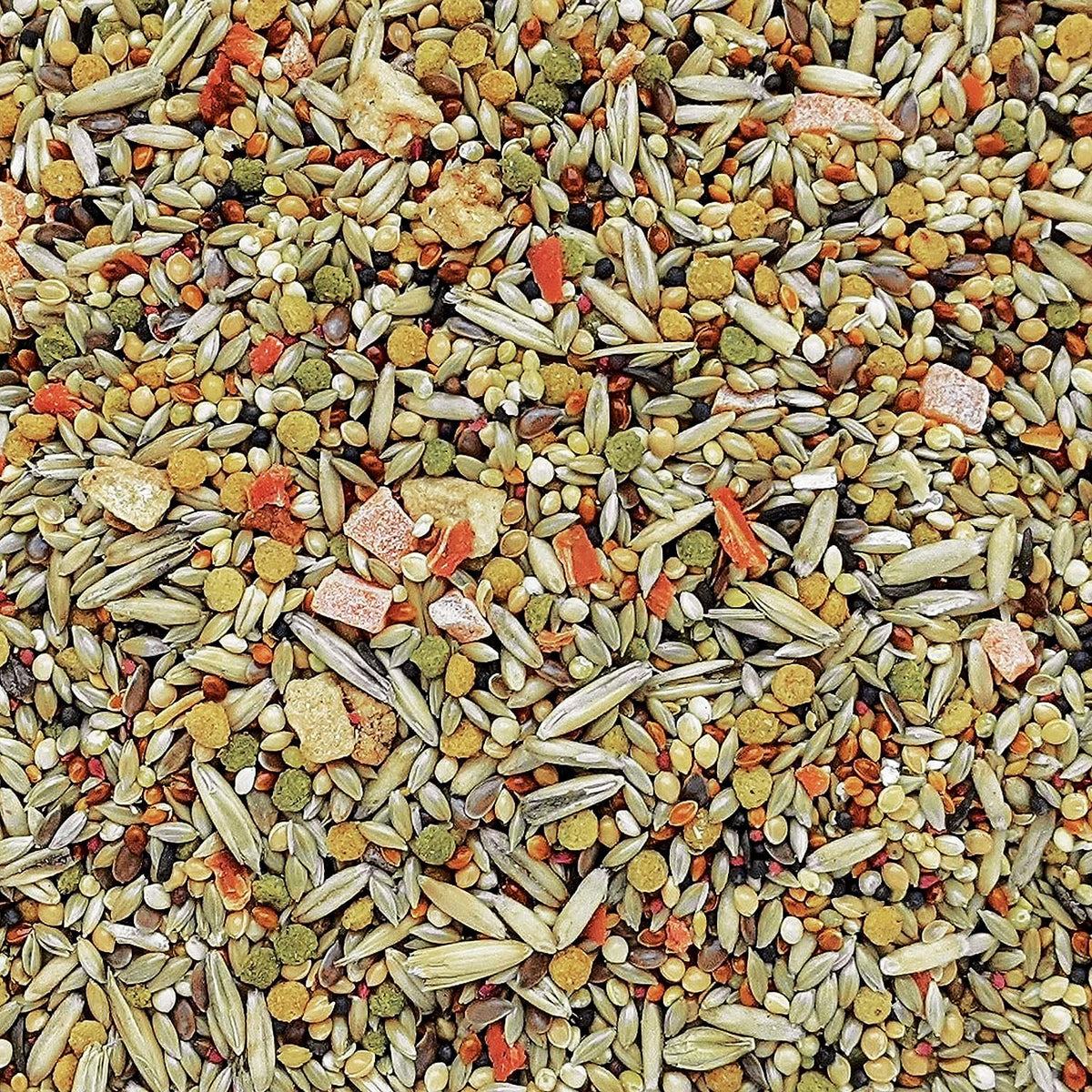 HARI Gourmet Premium Seed Mix for Budgies - 1 kg (2.2 lbs) $14.68