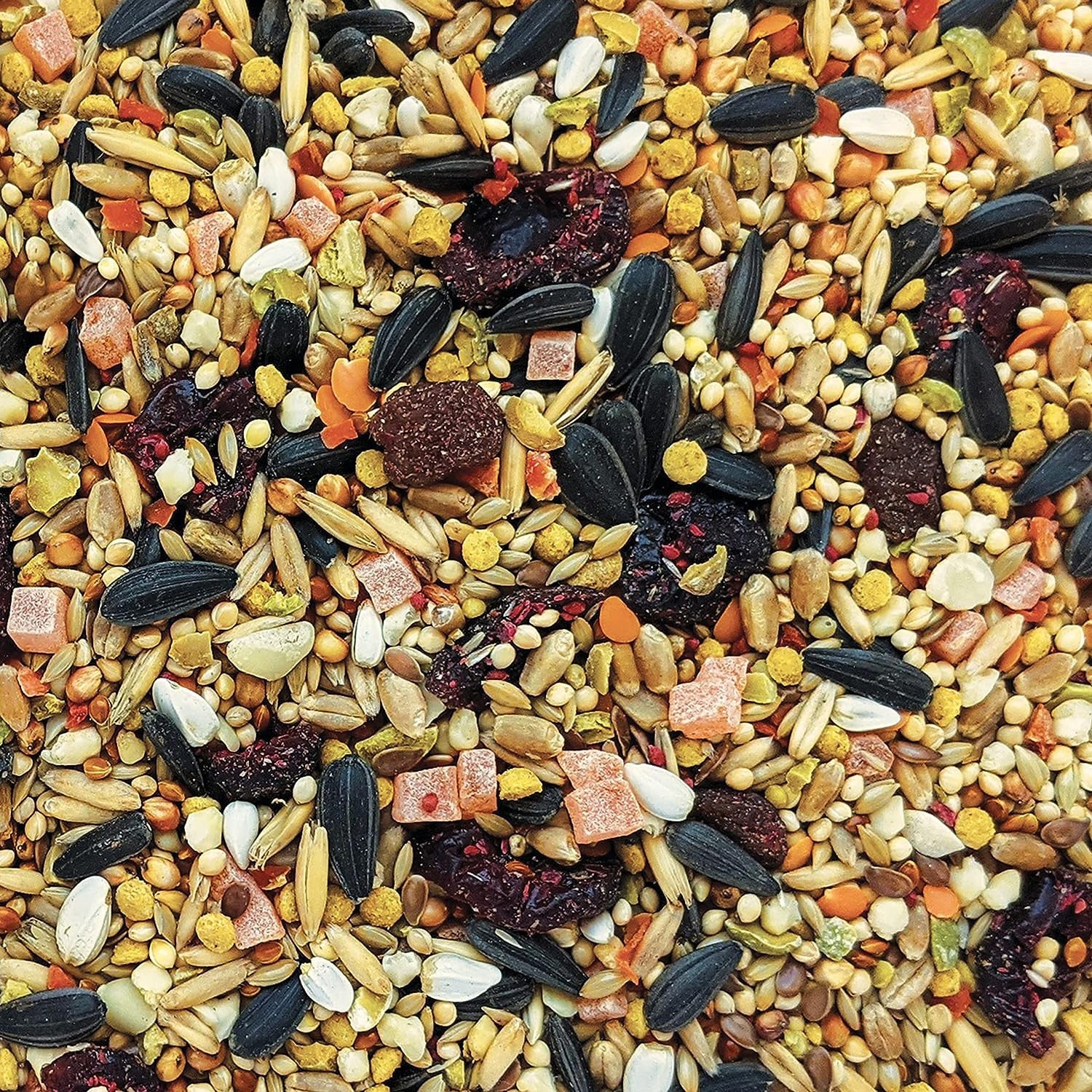 HARI Gourmet Premium Seed Mix For Cockatiels - 1.13 kg (2.5 lb) $14.68