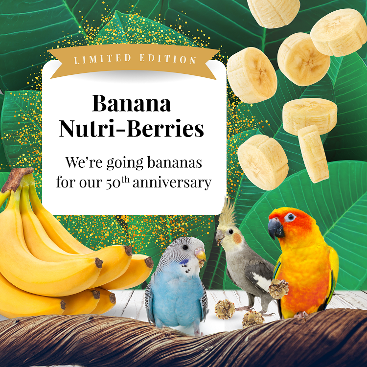 Lafeber LIMITED EDITION Banana Nutri-Berries for Small Birds 7oz $19.20