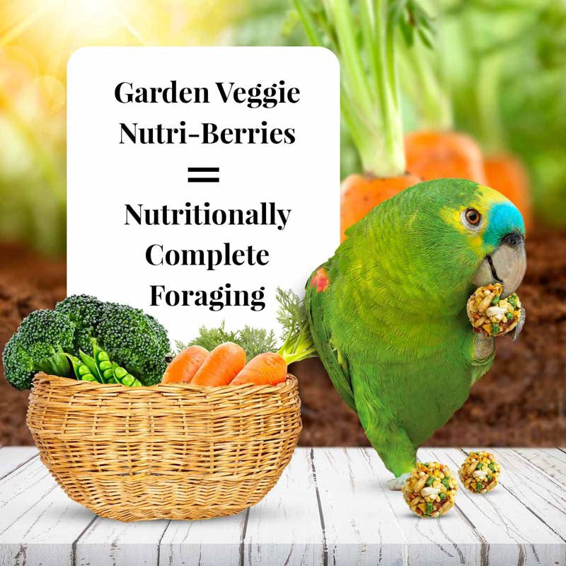 Lafeber Garden Veggie Nutri-Berries 10oz $18.07