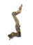 Natural Java Wood Single Perch for Parrots XL $36.15