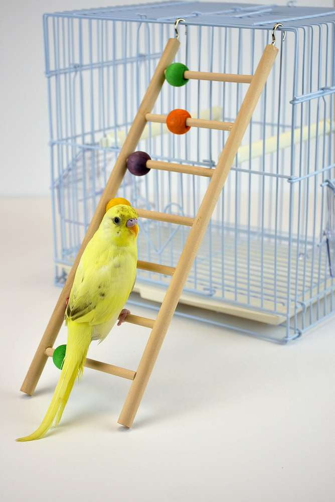 Wooden Bird Ladder with Beads 7 Steps $5.64