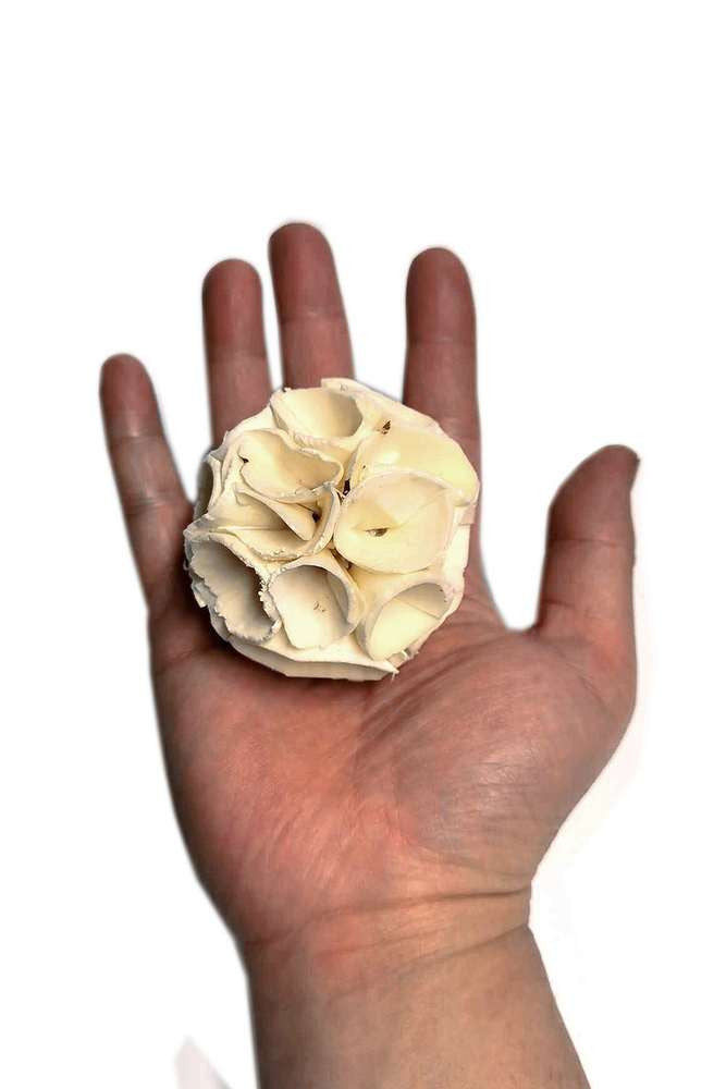 Natural Sola Crepe Ball 6cm $1.01