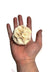 Natural Sola Crepe Ball 6cm $1.01