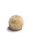 Natural Sola Flower 6cm $0.78