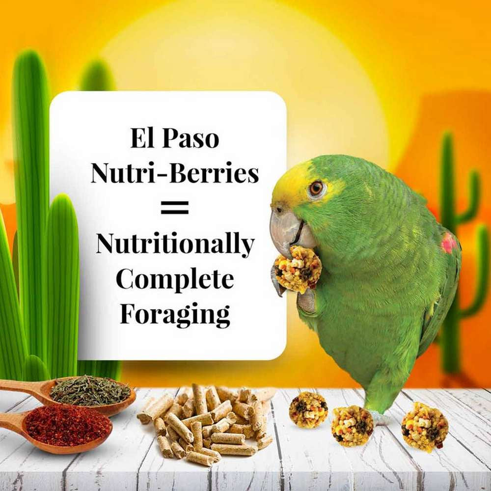 Lafeber El Paso Nutri-Berries for Parrots $16.94