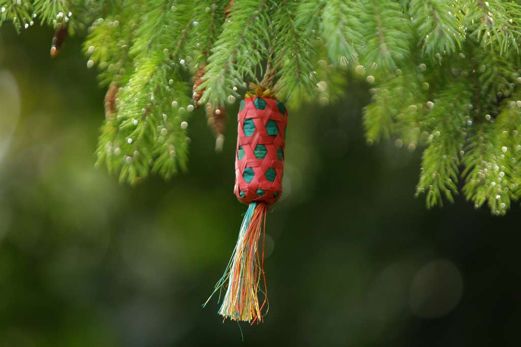 Palm Foraging Cylinder Mini Bird Toy $8.46
