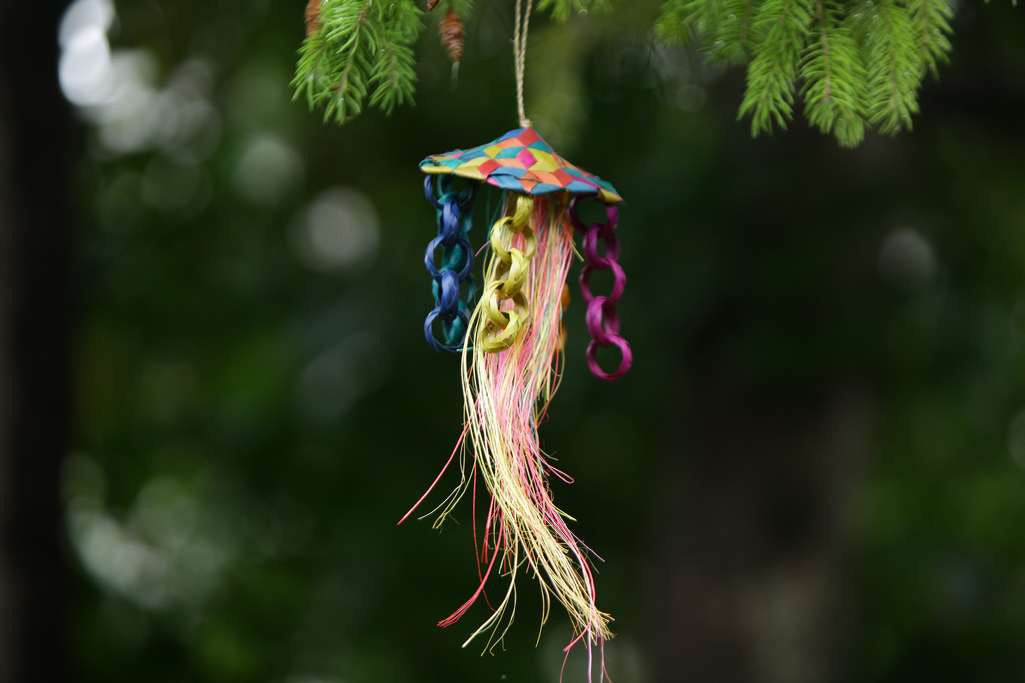 Palm Jellyfish Bird Toy $14.11