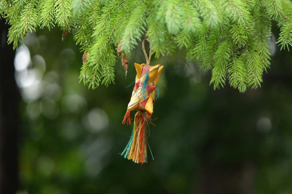 Natural Palm Carnival Bird Toy $12.42