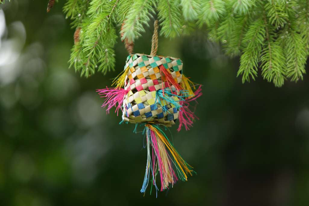 Small Parrot Foraging Pillow $11.29