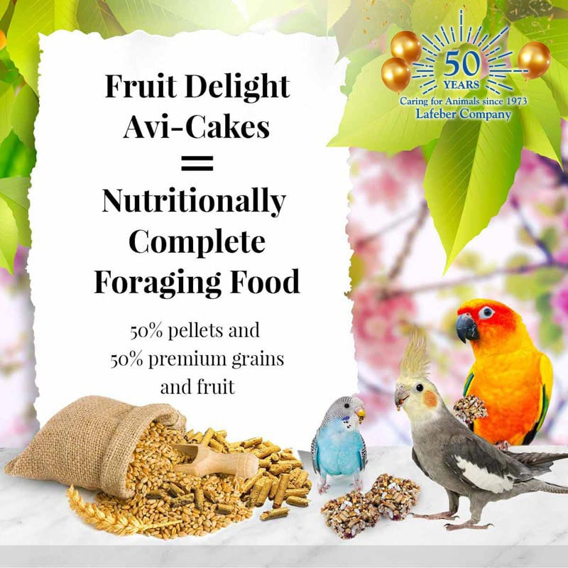 Fruit Delight Avi-Cakes for Small Birds 8oz $14.68