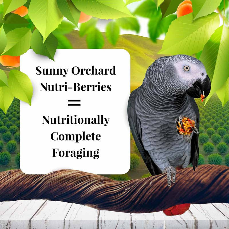 Lafeber Sunny Orchard Nutri-Berries for Parrots (10oz) $16.94