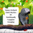 Lafeber Sunny Orchard Nutri-Berries for Parrots (10oz) $16.94