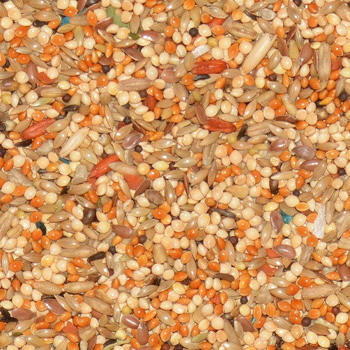 Volkman Avian Science Super Parakeet 4lb $24.85